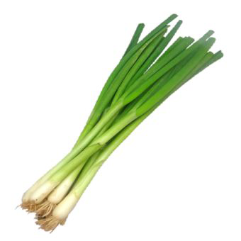 Spring onion Box- (15-18)03